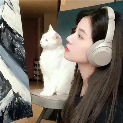 飞鱼